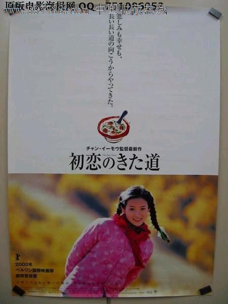 大阪国際大学商科文凭证书
